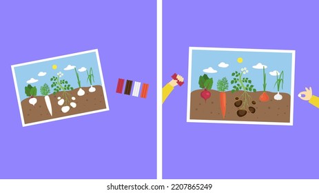 Application with vegetables in the garden, illustration