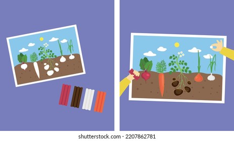 Application with vegetables from plasticine, illustration