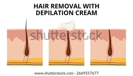Applying depilation cream to the skin dissolves hair at the surface, while a cross section reveals the intricate process of hair removal, highlighting various skin layers and structures