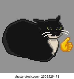 Approved by Black and white cat, pixel art meme