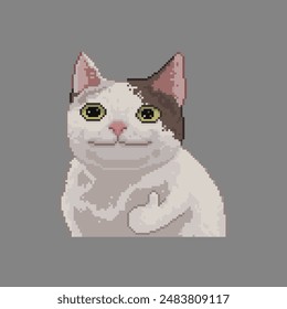 Approved by  poker face cat, pixel art meme