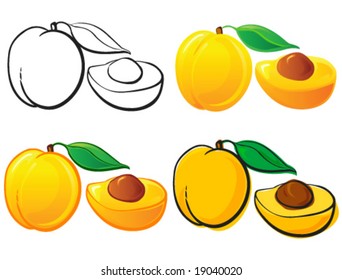 Apricot