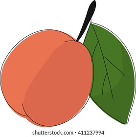 Apricot