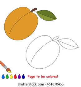 Apricot to be colored. Coloring book to educate kids. Learn colors. Visual educational game. Easy kid gaming and primary education. Simple level of difficulty. Coloring pages.