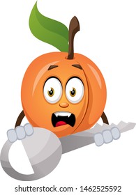 Apricot with big key, illustration, vector on white background.