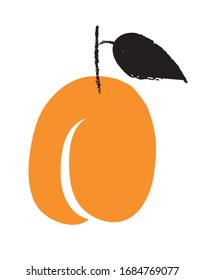 apricot with black leaf, illustration