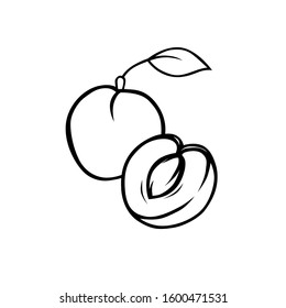 Apricot black and wihte vector for all purpose