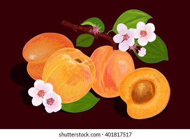  apricot and blossom