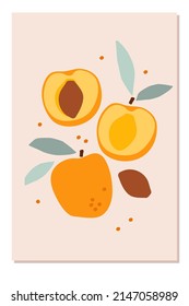 Apricot card. Abstract natural poster in pastel colors. Paper clipping elements. Summer tropical background with apricot. Hand-drawn apricot For poster, banner, cover, social networks, printing.