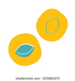 Apricot cartoon flat illustration. Summer abstract fruits icon. Berries simple elements vector illustration.