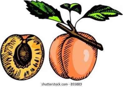 Apricot. Check my portfolio for many more images of this series.
