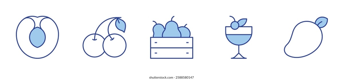 apricot, cherry, fruit, fruit juice, mango. Fruits Icon vector illustration. Line Duotone style. Editable stroke.