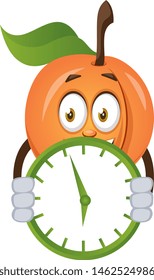 Apricot with clock, illustration, vector on white background.
