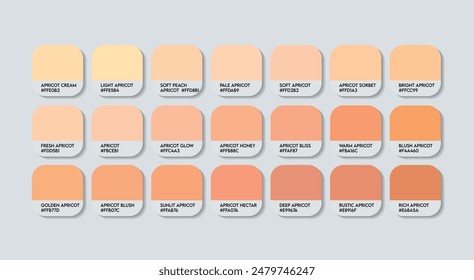 Apricot Color Palette, Apricot Color Guide Palette with Color Names. Catalog Samples of Pink Apricot with RGB HEX codes and Names. Beauty and cosmetic Fashion Trend Cream Apricot Colour Palette Vector