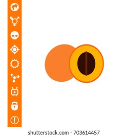 Apricot and cut apricot half