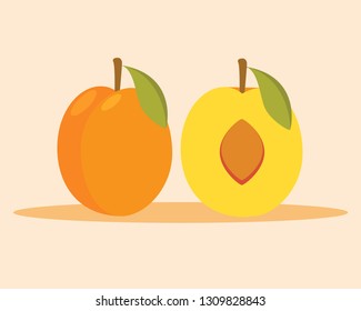 the apricot and apricot in the cut and leaf