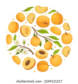 Apricot Design with Ripe Fruit Round Arrangement Vector Template
