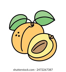 Albaricoque en estilo garabato. Vector aislado sobre fondo blanco