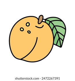 Apricot au style doodle. Image vectorielle  isolée sur fond blanc
