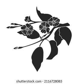 Aprikosengetrocknete Vektorsymbol.Schwarze Vektorsymbol einzeln auf weißem Hintergrund Aprikose getrocknet.