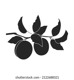 Apricot dried vector icon.Black vector icon isolated on white background apricot dried.