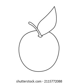 Icono vectorial secado de albaricoque.Icono vector de contorno aislado en albaricoque de fondo blanco secado.