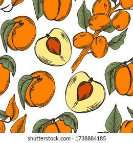 Apricot with Drupe Fruit Similar to a Small Peach and Sliced Pieces Vector Seamless Pattern. Hand Drawn Design for Wallpapers