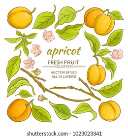 apricot elements set