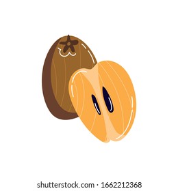 apricot exotic fruit flat style vector illustration design