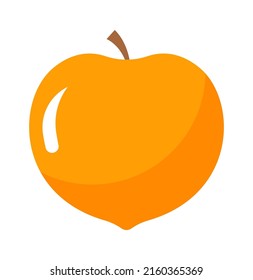 Apricot Exotic Fruit. Vector illustration