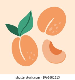 Apricot. Exotic tropical peaches or apricots fresh fruit, whole and half juicy peach. Vector cartoon minimalistic style isolated illustration. Print or banner, label or poster and sticker