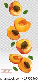 Apricot cayendo desde diferentes ángulos. Albaricoque volador con hoja verde sobre fondo transparente. Álbum 3D realista. Ilustración vectorial.