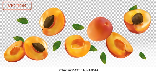 Apricot falling from different angles. Flying apricot with green leaf on transparent background. 3D realistic apricot. Vector illustration.