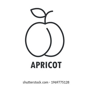 Apricot in flat style. Apricot vector logo. Apricot icon. Isolated object. Natural food. Vector illustration. Apricot on white background