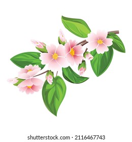 Apricot flower branch icon cartoon vector. Jam fruit. Cut leaf