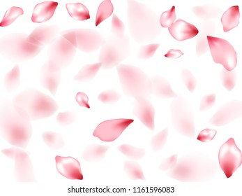 Apricot flower flying petals isolated on white. Romantic beauty salon background. Japanese sakura petals springtime confetti, blossom elements flying. Falling cherry blooming flower parts vector.
