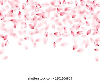 Apricot flower flying petals isolated on white. Natural beauty salon background. Japanese sakura petals springtime confetti, blossom elements flying. Falling cherry blossom flower parts vector.