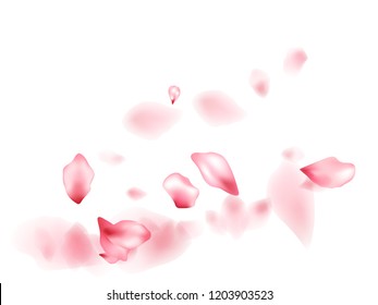 Apricot flower flying petals isolated on white. Stylish beauty salon background. Japanese sakura petals seasonal confetti, blossom elements flying. Falling cherry blooming flower parts vector.