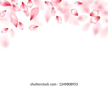 Apricot flower flying petals isolated on white. Idyllic beauty salon background. Japanese sakura petals springtime confetti, blossom elements flying. Falling cherry blooming flower parts vector.