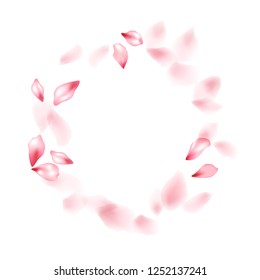 Apricot flower flying petals isolated on white. Light floral background. Japanese sakura petals spring confetti, blossom elements flying. Falling cherry bloom flower parts design.