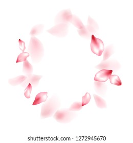 Apricot flower flying petals isolated on white. Idyllic floral background. Japanese sakura petals seasonal confetti, blossom elements flying. Falling cherry blossom flower parts vector.