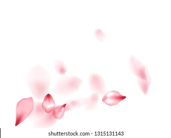 Apricot flower flying petals isolated on white. Blowing floral background. Japanese sakura petals seasonal confetti, blossom elements flying. Falling cherry bloom flower parts vector.