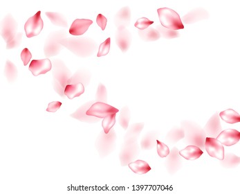 Apricot flower flying petals isolated on white. Creative beauty salon background. Japanese sakura petals springtime confetti, blossom elements flying. Falling cherry blooming flower parts vector.