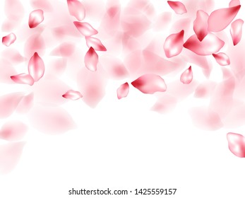 Apricot flower flying petals isolated on white. Elegant beauty salon background. Japanese sakura petals spring confetti, blossom elements flying. Falling cherry blossom flower parts vector.