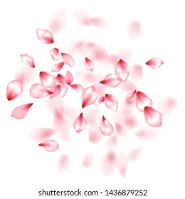 Apricot flower flying petals isolated on white. Stylish beauty salon background. Japanese sakura petals springtime confetti, blossom elements flying. Falling cherry blossom flower parts vector.
