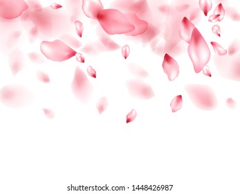 Apricot flower flying petals isolated on white. Blowing beauty salon background. Japanese sakura petals springtime confetti, blossom elements flying. Falling cherry blossom flower parts design.