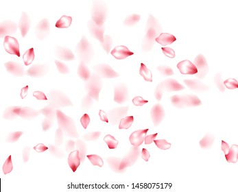 Apricot flower flying petals isolated on white. Blowing beauty salon background. Japanese sakura petals spring confetti, blossom elements flying. Falling cherry blossom flower parts design.