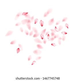 Apricot flower flying petals isolated on white. Chaotic beauty salon background. Japanese sakura petals seasonal confetti, blossom elements flying. Falling cherry blossom flower parts design.