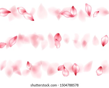 Apricot flower flying petals isolated on white. Airy beauty salon background. Japanese sakura petals seasonal confetti, blossom elements flying. Falling cherry blossom flower parts design.