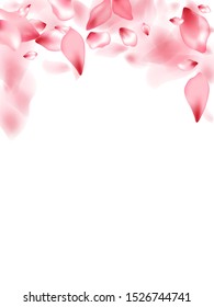 Apricot flower flying petals isolated on white. Airy floral background. Japanese sakura petals spring confetti, blossom elements flying. Falling cherry bloom flower parts vector.